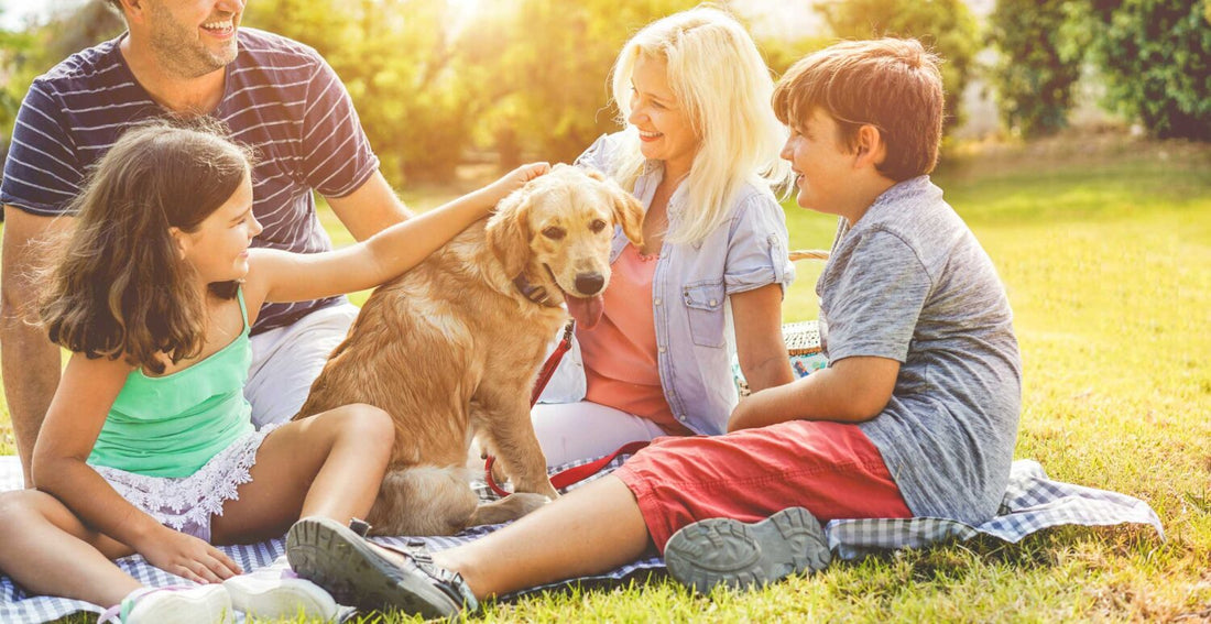Safety Tips for Having Fun in the Sun!