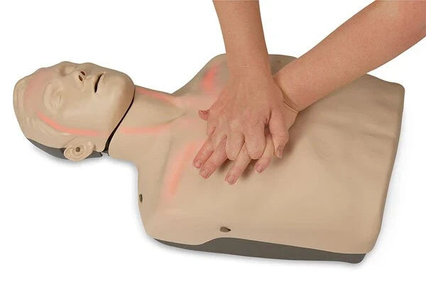 Brayden CPR Manikin LED Blood Circulation