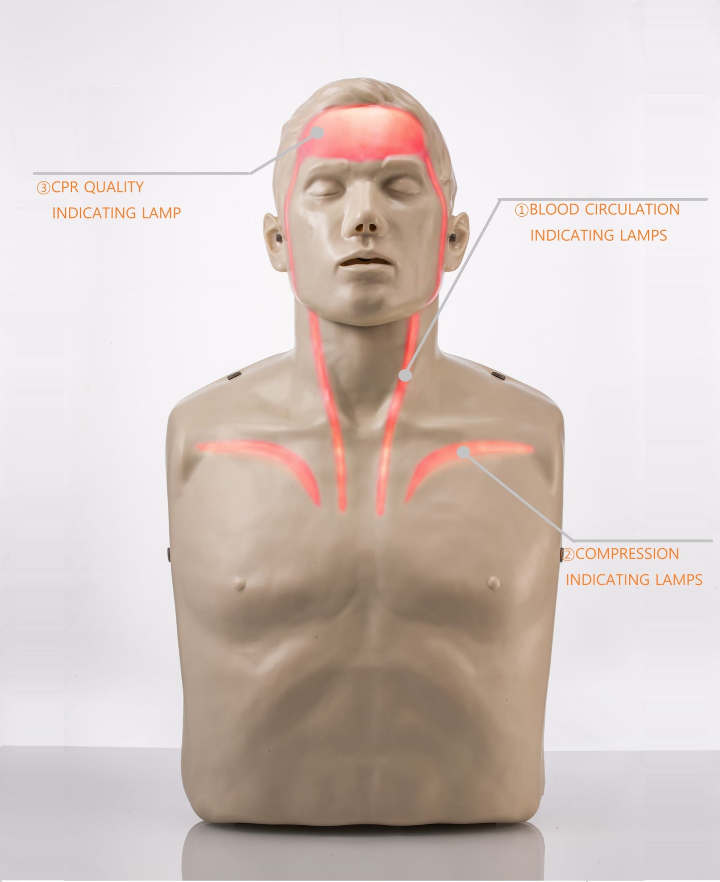 Brayden CPR Manikin LED Blood Circulation