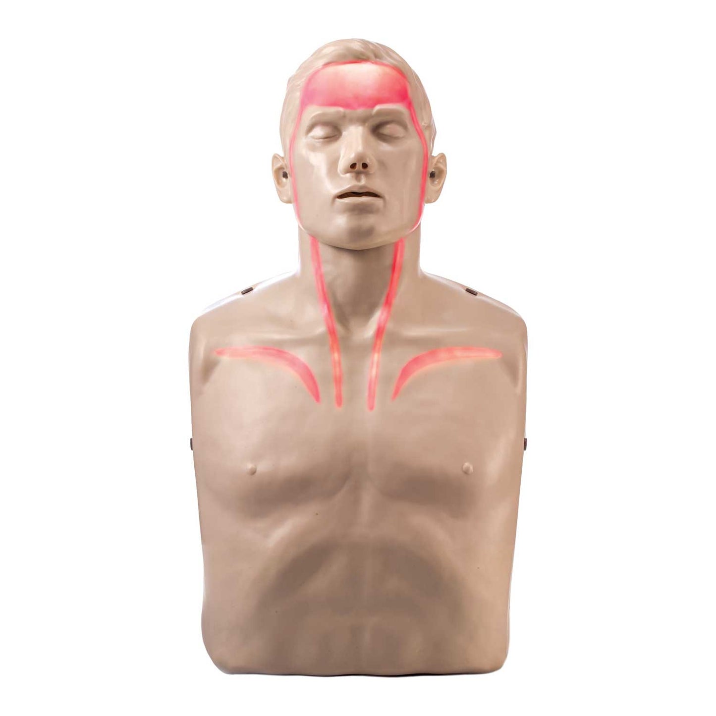 Brayden CPR Manikin LED Blood Circulation