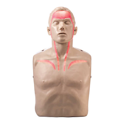 Brayden CPR Manikin LED Blood Circulation
